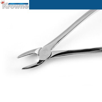 Davye Upper Premolar  - 7