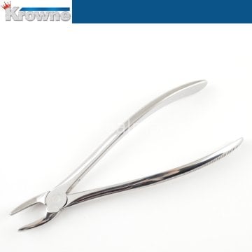 Davye Upper Premolar  - 7