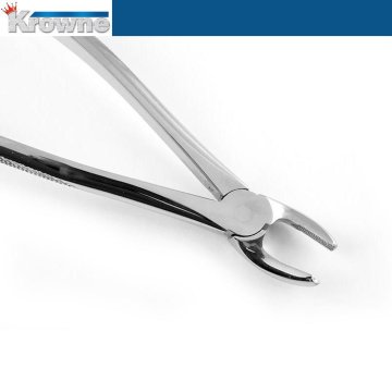 Davye Upper Molars Left - 18