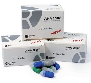 Ana 2000 Amalgam - %43 Gümüş