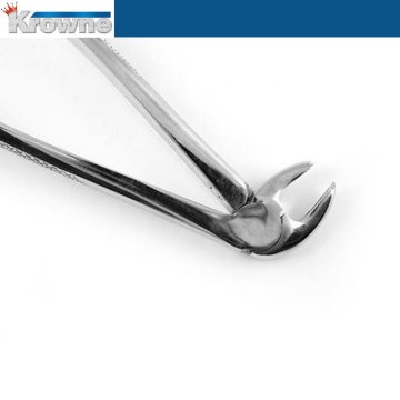 Davye Lower Molars - 22