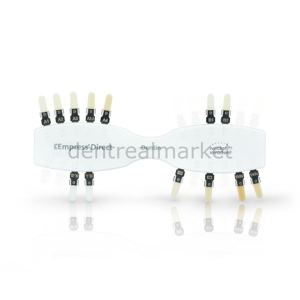 IPS Impress Direct Shade Guide - Dentin Renk Skalası