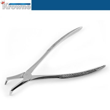 Davye Lower Root