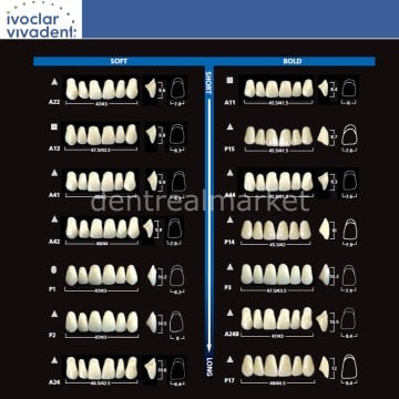Sr Vivodent DCL - Sr Orthotpy DCL Takım Diş  28'lik