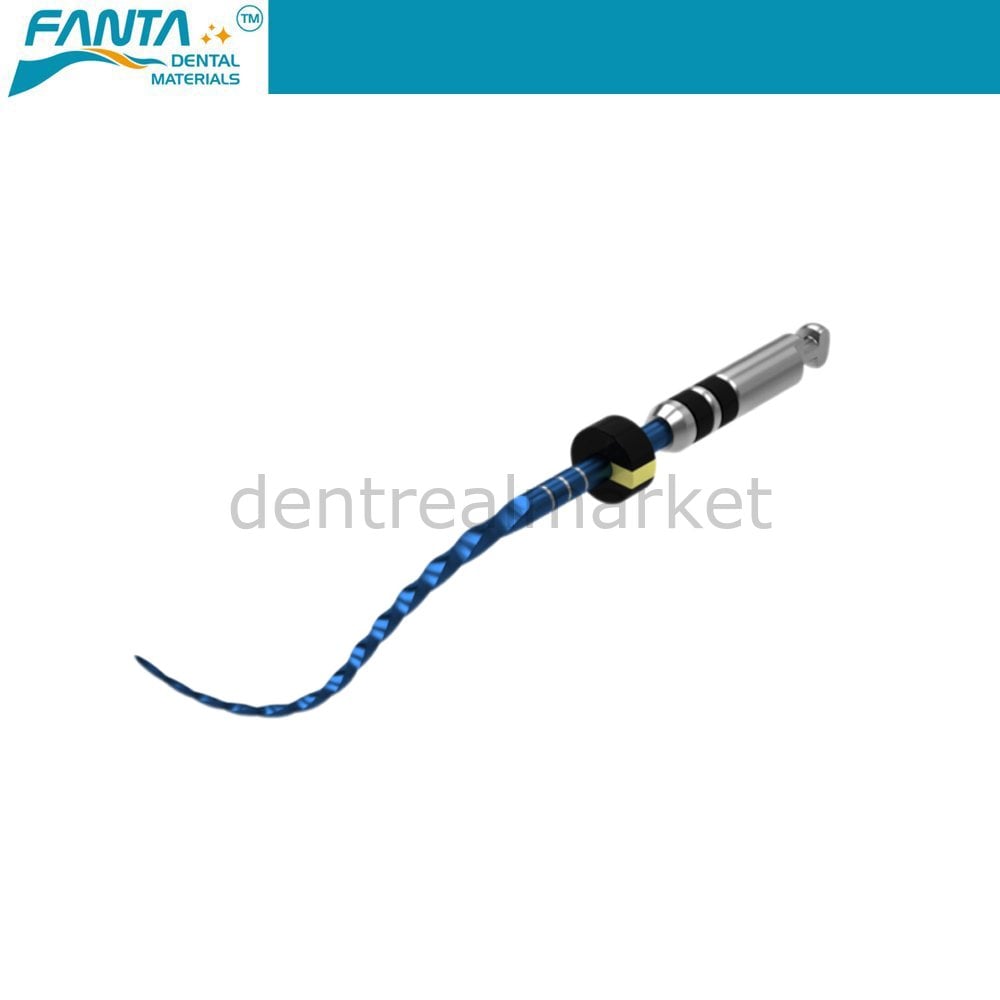 AF R3 Blue File Reciproc Kanal Egesi