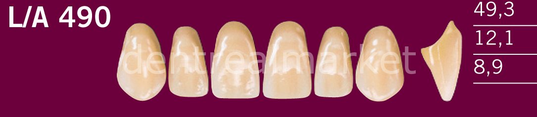 Optodent-Optostar 28lik Takım Diş B2 - L/A 490