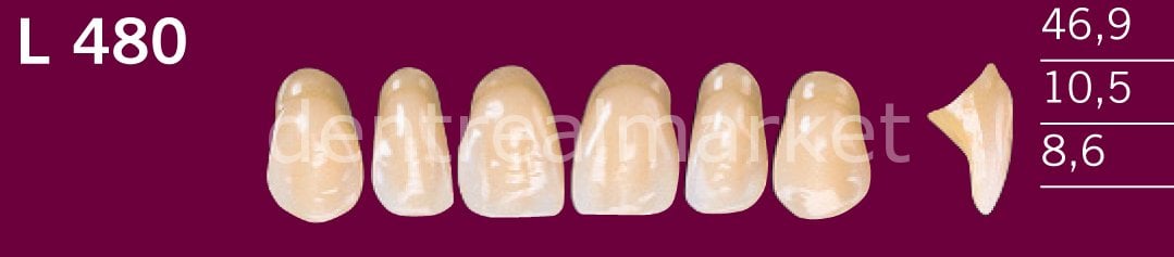 Optodent-Optostar 28lik Takım Diş C1 - L 480