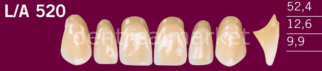 Optodent-Optostar 28lik Takım Diş C1 - L/A 520