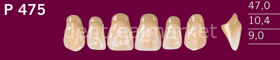 Optodent-Optostar 28lik Takım Diş C1 - P 475