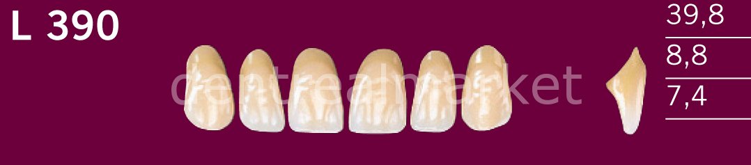 Optodent-Optostar 28lik Takım Diş C2 - L 390