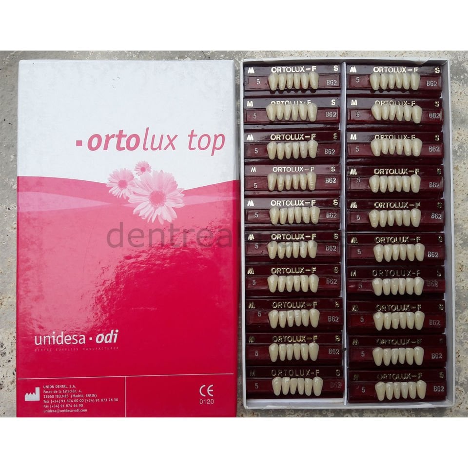 Ortolux Top 2 Katmanlı Akrilik Takım Diş 28'lik