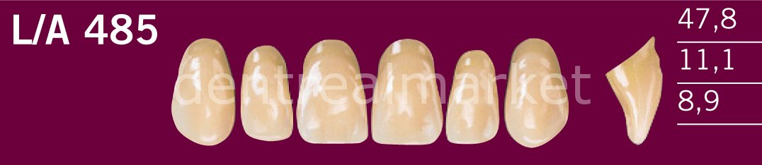 Optodent-Optostar 28lik Takım Diş C2 - L/A 485