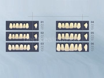 Cross Linked 2 Takım Diş Akrilik 28'lik A3 - I2