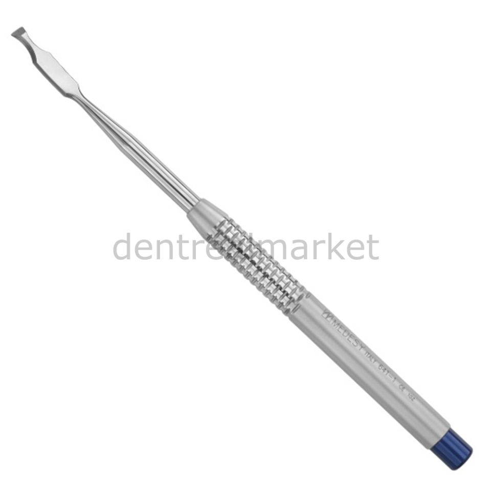 Chisels Ochsenbein Kemik Keskisi