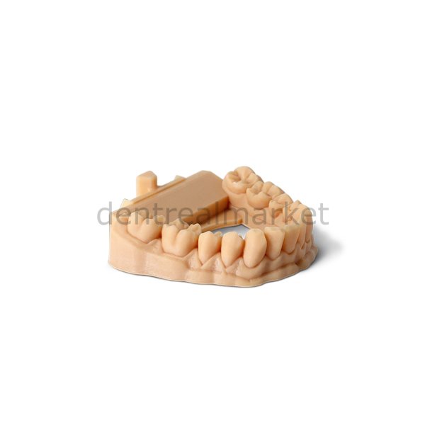 3D Yazıcı Reçine - Suda Yıkanabilir Dental Model Reçinesi 1kg
