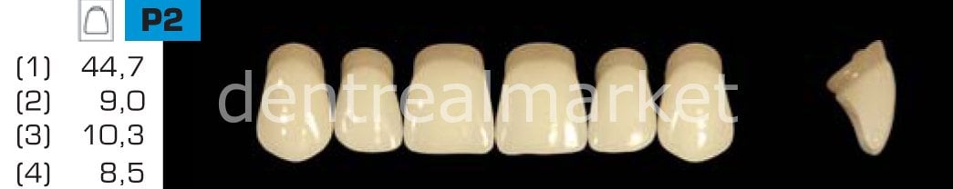 Acyrplus Plastik Diş 28 lik A1 - P2