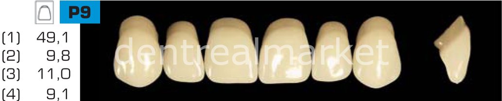 Acyrplus Plastik Diş 28 lik A1 - P9