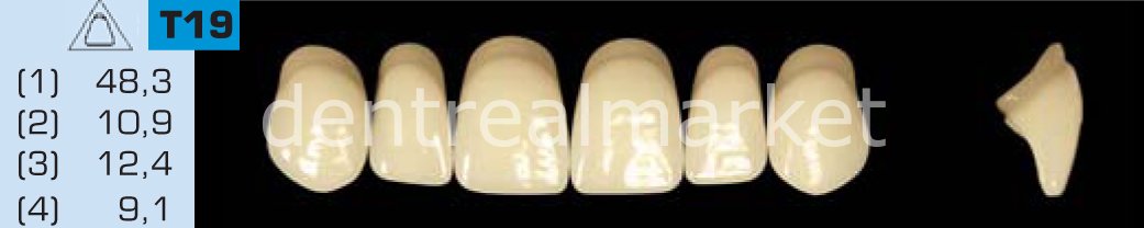 Acyrplus Plastik Diş 28 lik A1 - T19