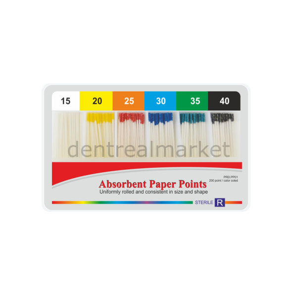 Paper Point Kanal Kurutma