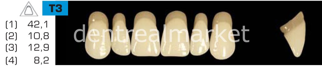 Acyrplus Plastik Diş 28 lik A2 - T3