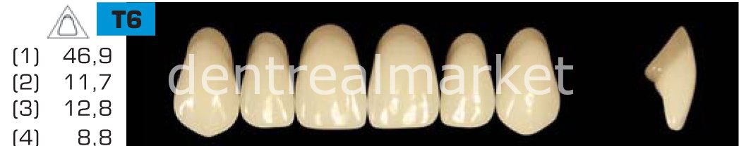 Acyrplus Plastik Diş 28 lik A2 - T6