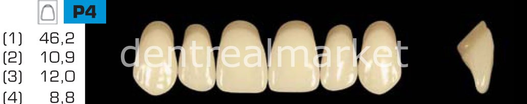 Acyrplus Plastik Diş 28 lik A3 - P4