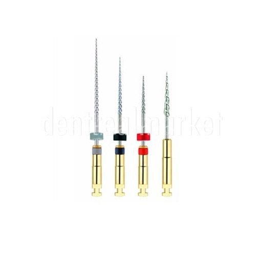 R-Endo Rotary Kanal Eğesi Asorti