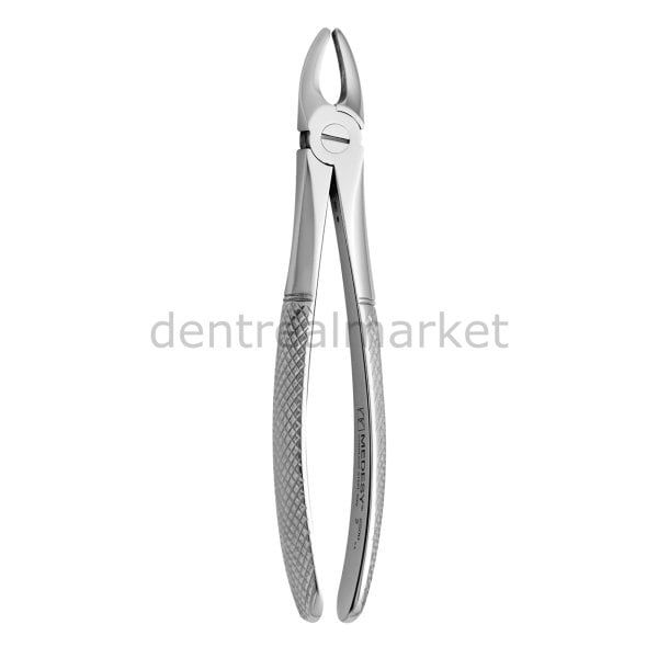 Davye Upper Centrals and Canines - 2