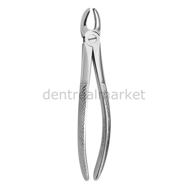 Davye Upper Molar Rights - 17