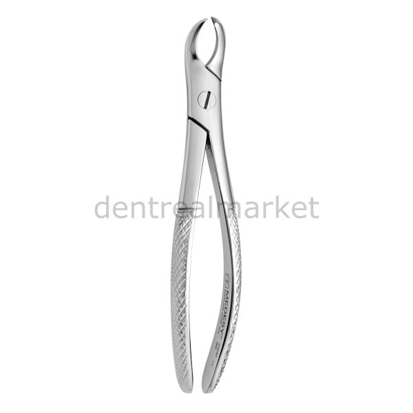Davye Upper Molar Right - 89