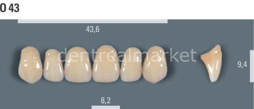 Vitapan Takım Diş 28'lik 3D Master 1M1 - 0 43