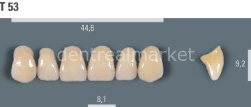 Vitapan Takım Diş 28'lik 3D Master 1M1 - T 53
