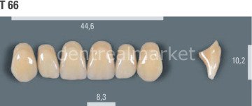 Vitapan Takım Diş 28'lik 3D Master 1M1 - T 66