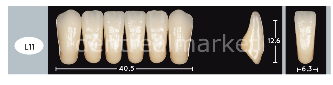 Enigmalife+ Nano Hybrid Kompozit Alt Anterior Diş 6'lık A1 - L11