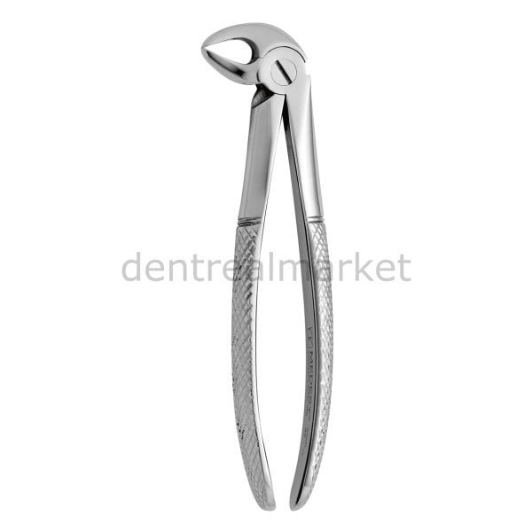 Davye Lower Molars - 33