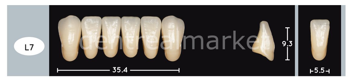 Enigmalife+ Nano Hybrid Kompozit Alt Anterior Diş 6'lık A1 - L7
