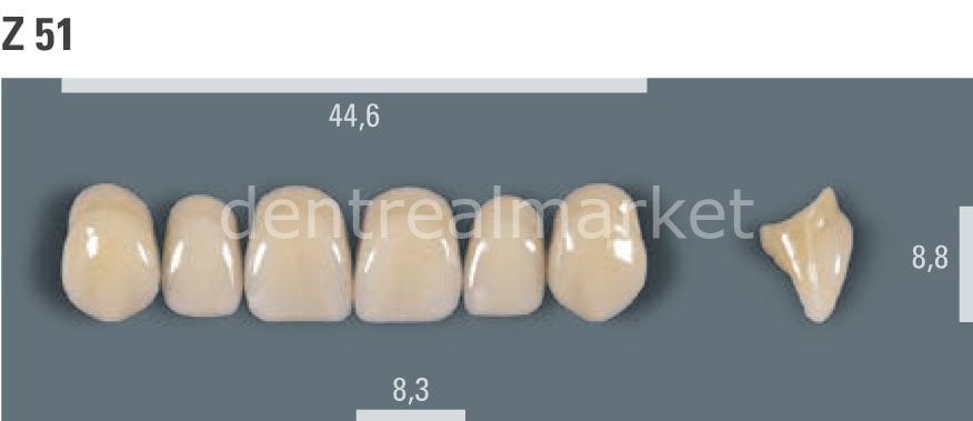 Vitapan Takım Diş 28'lik 3D Master 1M1 - Z 51