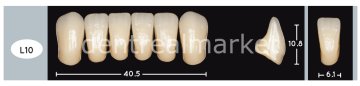 Enigmalife+ Nano Hybrid Kompozit Alt Anterior Diş 6'lık B1 - L10