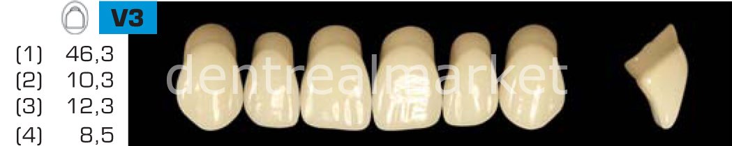 Acyrplus Plastik Diş 28 lik A3,5 - V3