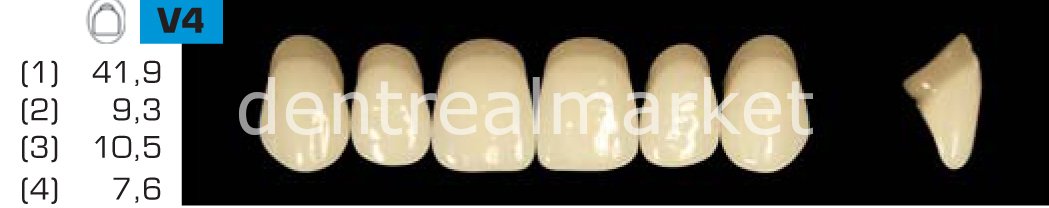 Acyrplus Plastik Diş 28 lik A3,5 - V4