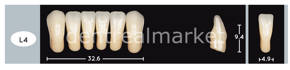 Enigmalife+ Nano Hybrid Kompozit Alt Anterior Diş 6'lık B1 - L4