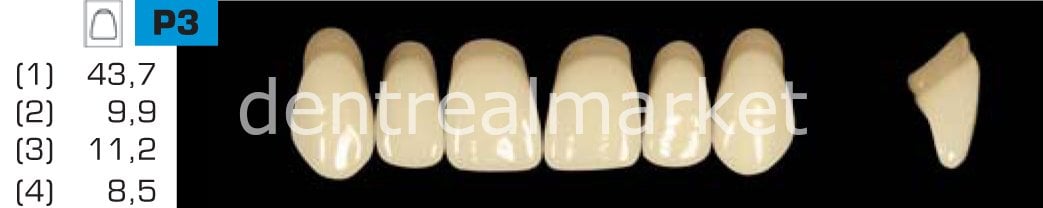 Acyrplus Plastik Diş 28 lik A4 - P3