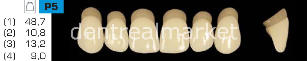 Acyrplus Plastik Diş 28 lik A4 - P5