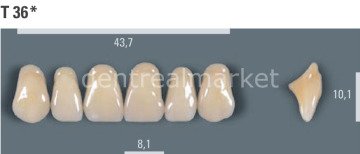 Vitapan Takım Diş 28'lik 3D Master 1M2 - T 36