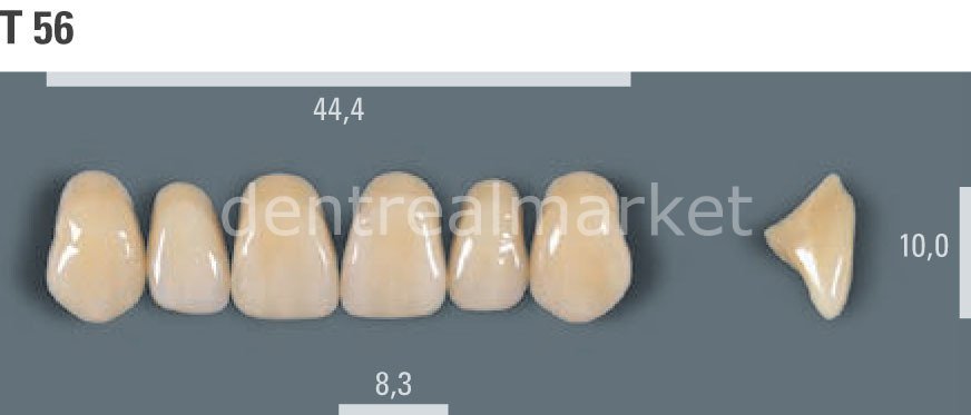 Vitapan Takım Diş 28'lik 3D Master 1M2 - T 56