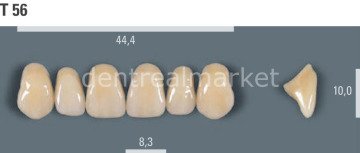 Vitapan Takım Diş 28'lik 3D Master 1M2 - T 56