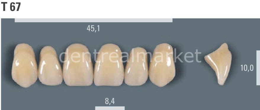 Vitapan Takım Diş 28'lik 3D Master 1M2 - T 67