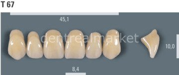Vitapan Takım Diş 28'lik 3D Master 1M2 - T 67