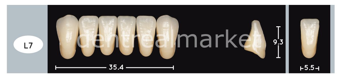 Enigmalife+ Nano Hybrid Kompozit Alt Anterior Diş 6'lık Bleach 1 - L7