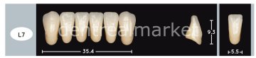 Enigmalife+ Nano Hybrid Kompozit Alt Anterior Diş 6'lık Bleach 1 - L7
